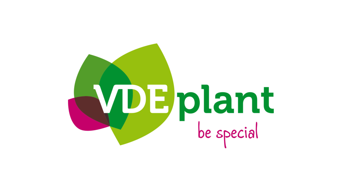 VDE Plant