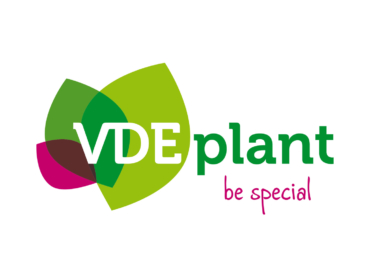 VDE Plant